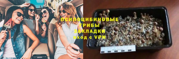 тгк Алзамай