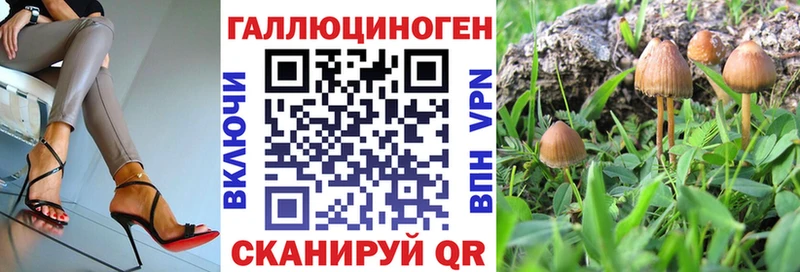 Псилоцибиновые грибы MAGIC MUSHROOMS Кремёнки